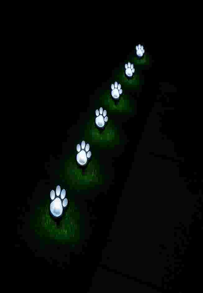 Paw Print Pathway Lights, Set of 4 image number 7