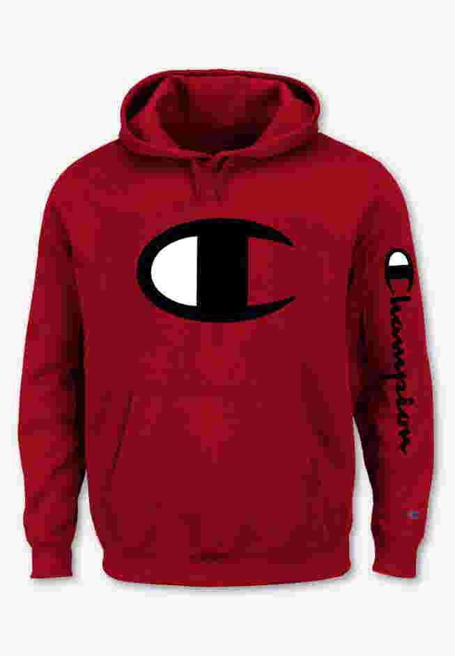 Large Logo Hoodie image number 0