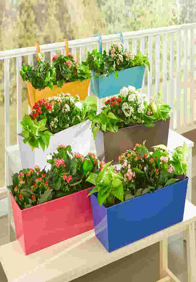 Rectangular Hanging Planter image number 0