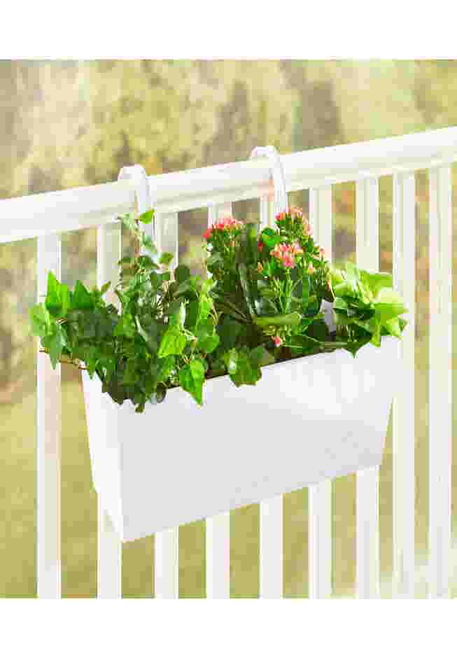 Rectangular Hanging Planter image number 0