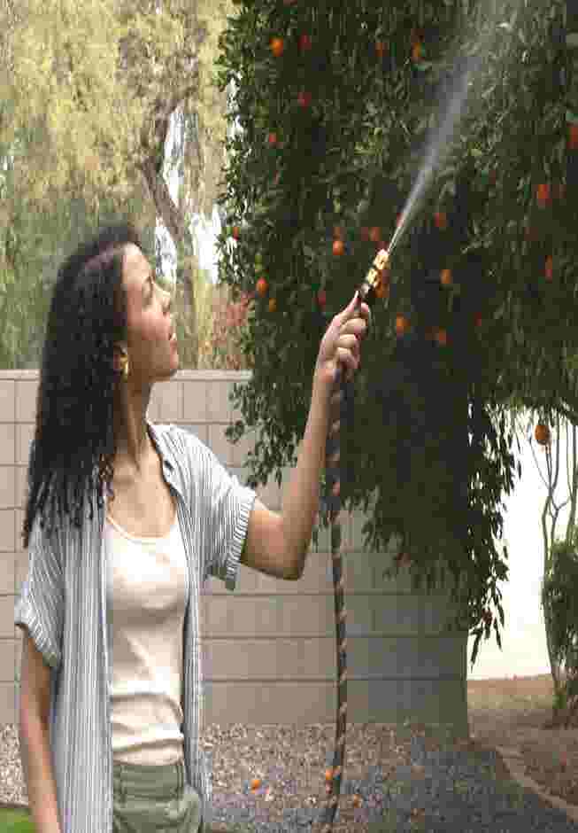 75' Pocket Hose® Copper Bullet™ Hose image number 5