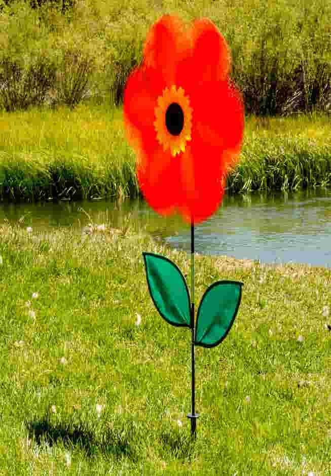 Flower Spinner image number 1