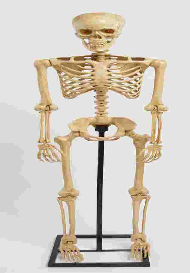 5' Pre-Lit Life-Sized Skeleton image number 1