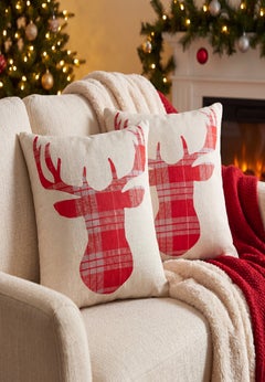 Set of 2 Decorative Pillows, 20" x 20