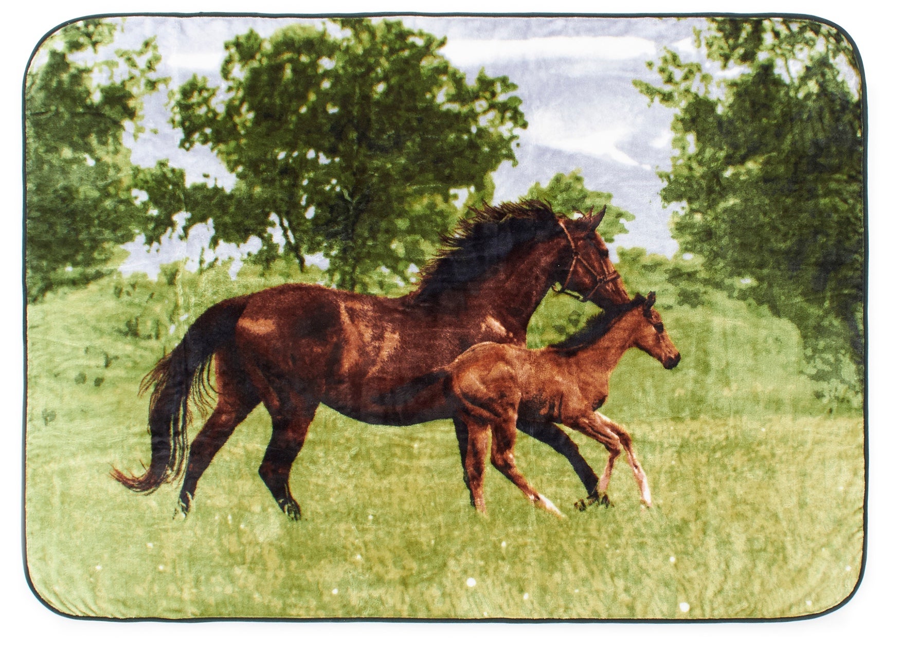 High Pile Oversized Animal Throws image number 0