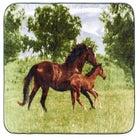 High Pile Oversized Animal Throws image number null