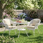 Roma Hand-Woven Resin Wicker Stacking Chair with Toss Pillow & Seat Cushion image number null