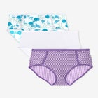 Full Coverage Microfiber Panty 3-Pack image number null