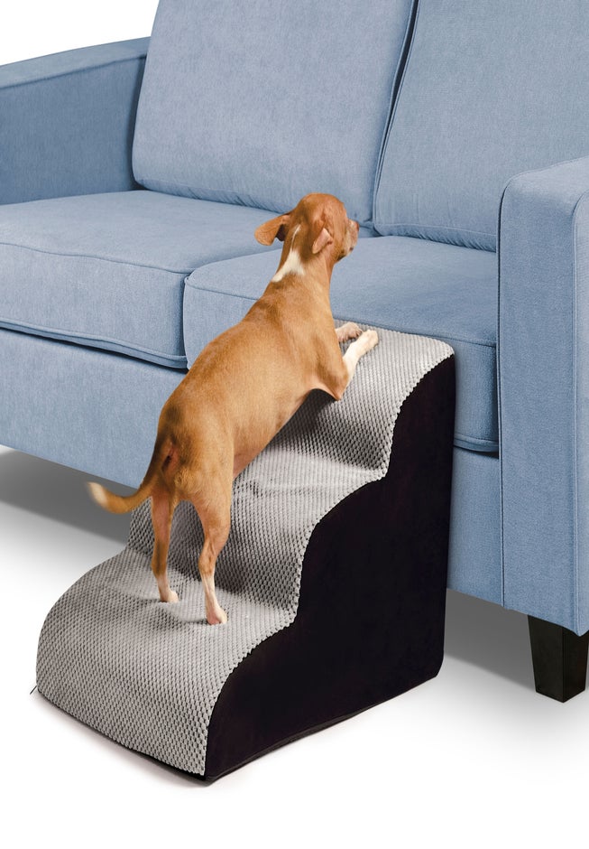 Three Tier Step-Up Pup image number 2
