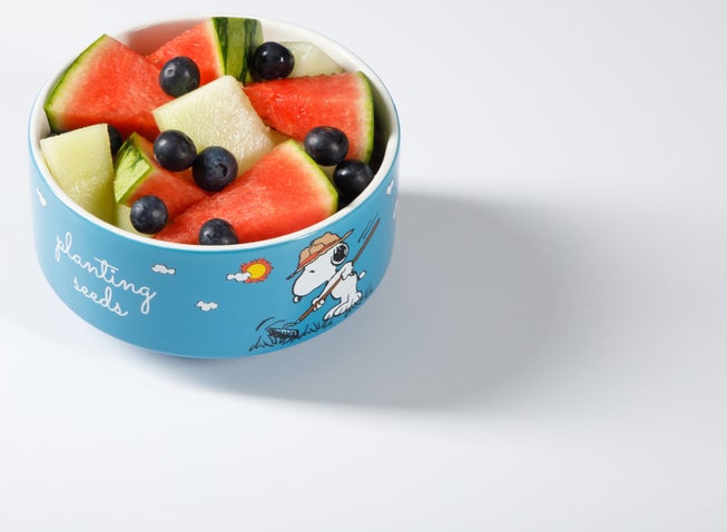 Snoopy’s Garden Patch 6-Piece Stackable Bowl Set image number null