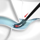 Plungeroo image number null