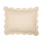 100% Cotton Florence Sham image number null