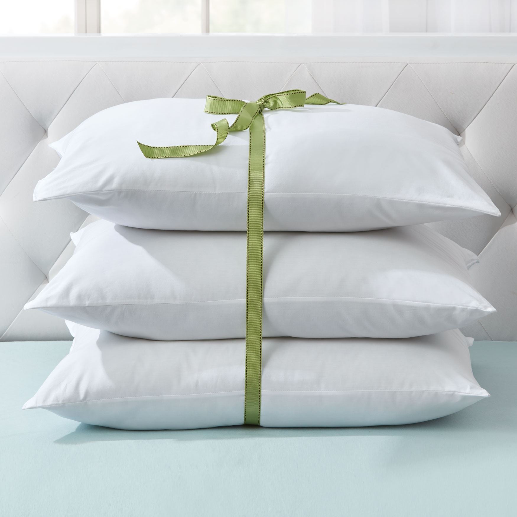3Pack Pillow Plus Size Pillows Brylane Home