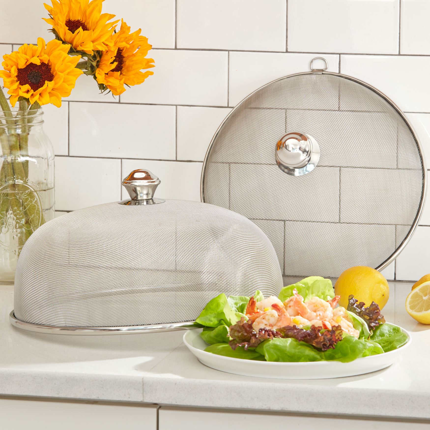 Round Mesh Dish Covers, Set of 2 Brylane Home