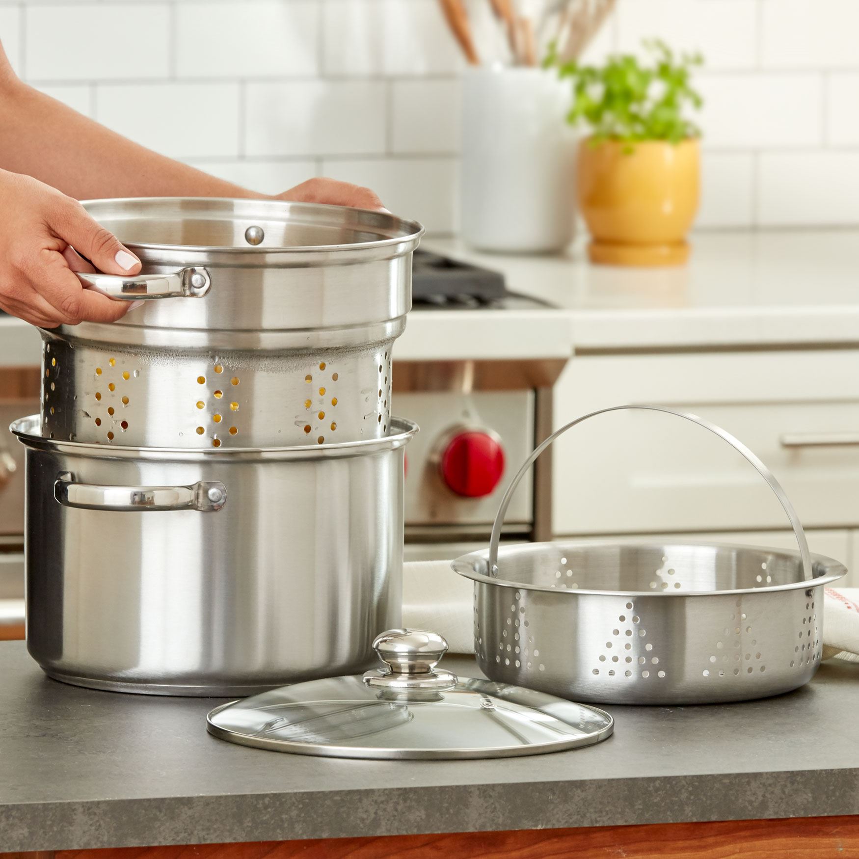 8Qt. Multi Cooker Cookware & Kitchen Appliances Brylane Home