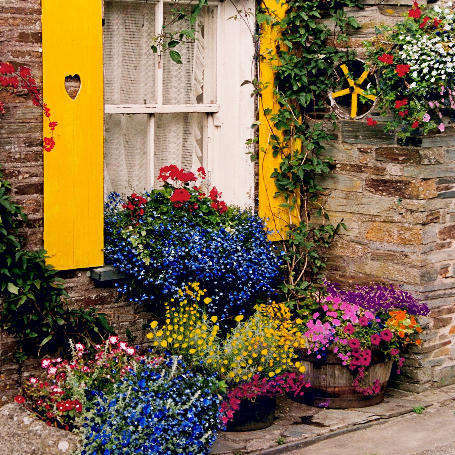 Seasonal All Weather All Season Outdoor Canvas Art, Multi Brylane Home