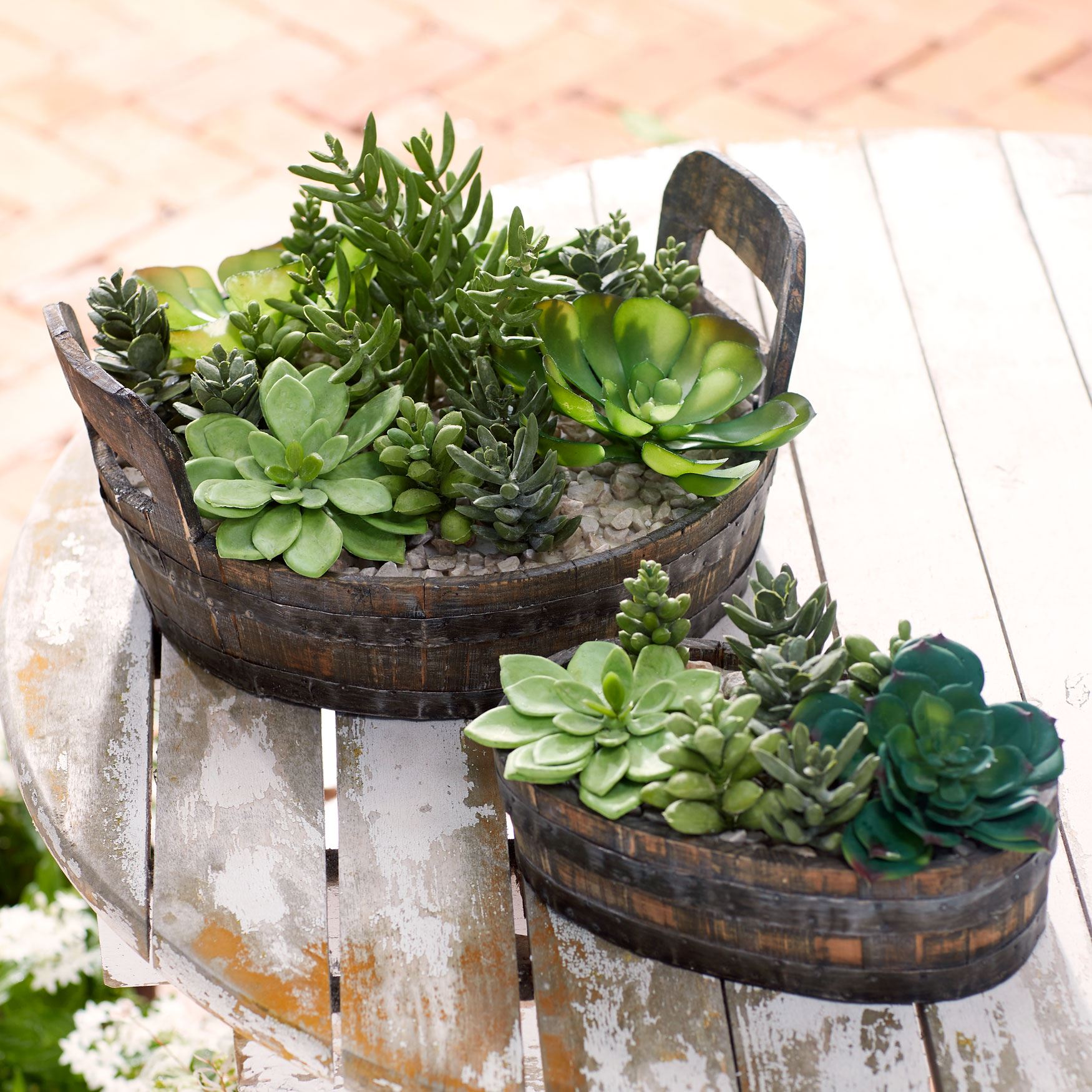 Large Succulent Plant Arrangement Décor Brylane Home
