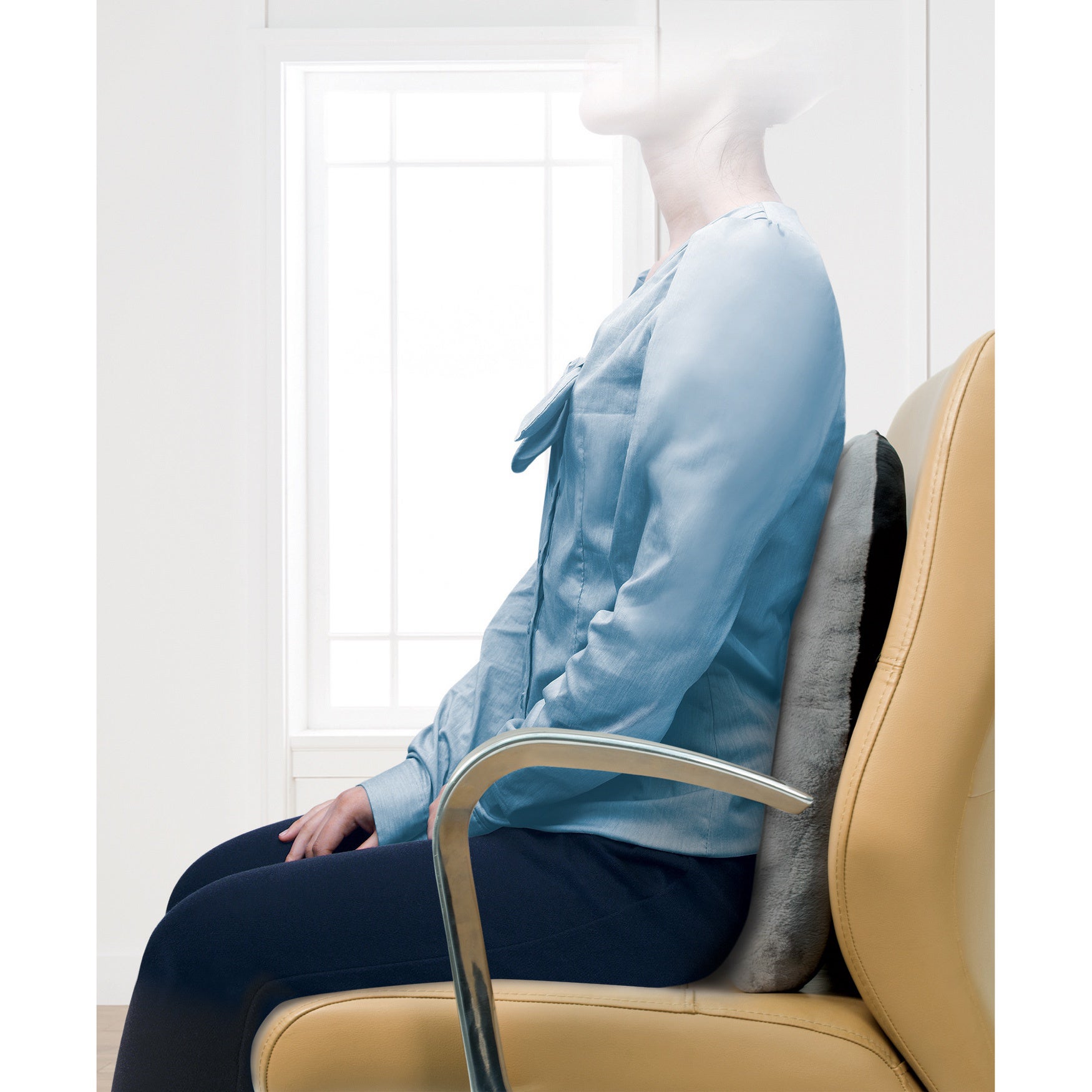 ideaworks posture support cushion