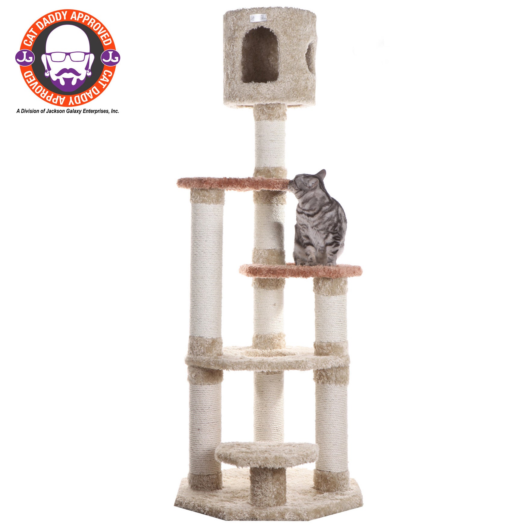 cat daddy approved cat trees
