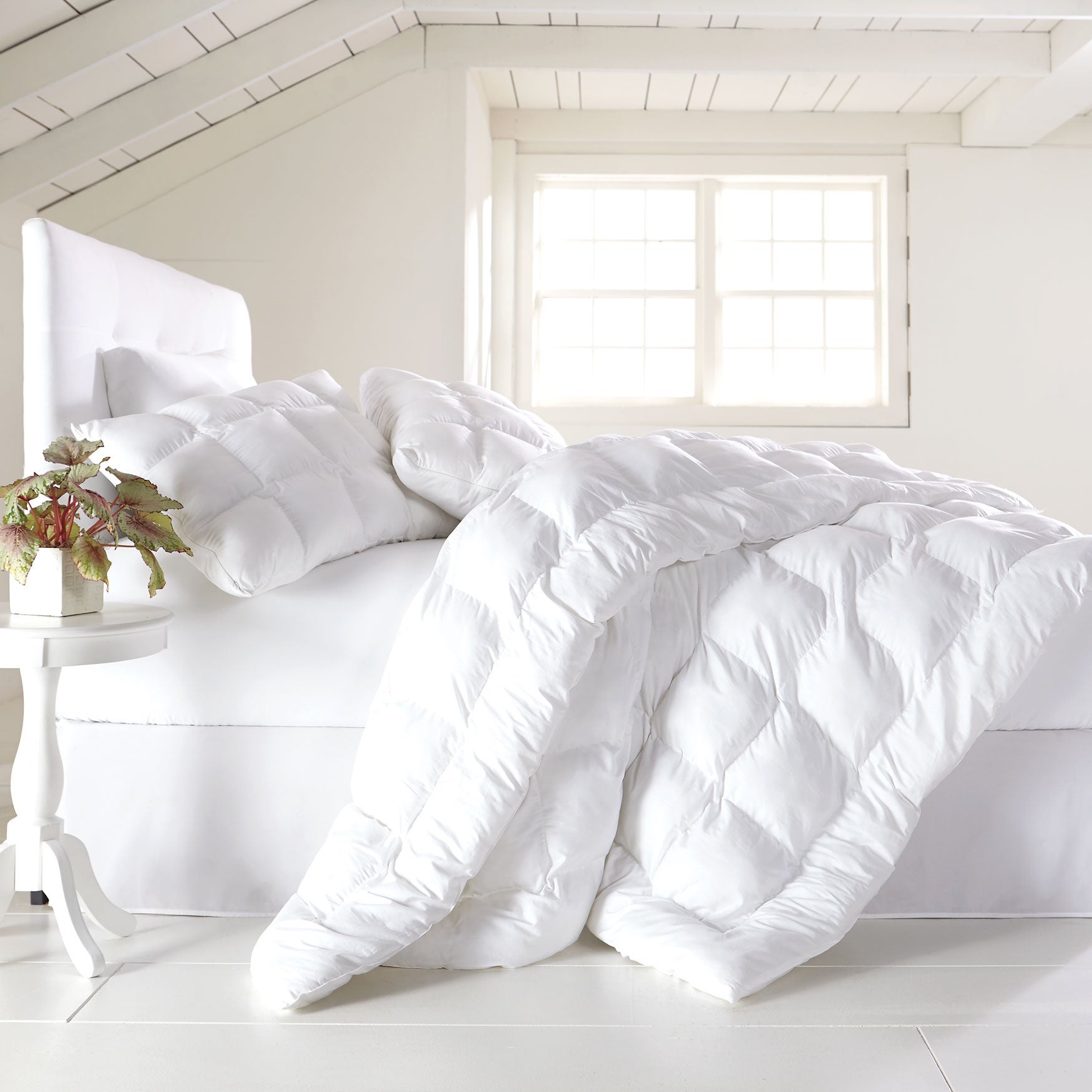 200TC Cotton Puff Comforter Comforters & Sets Brylane Home