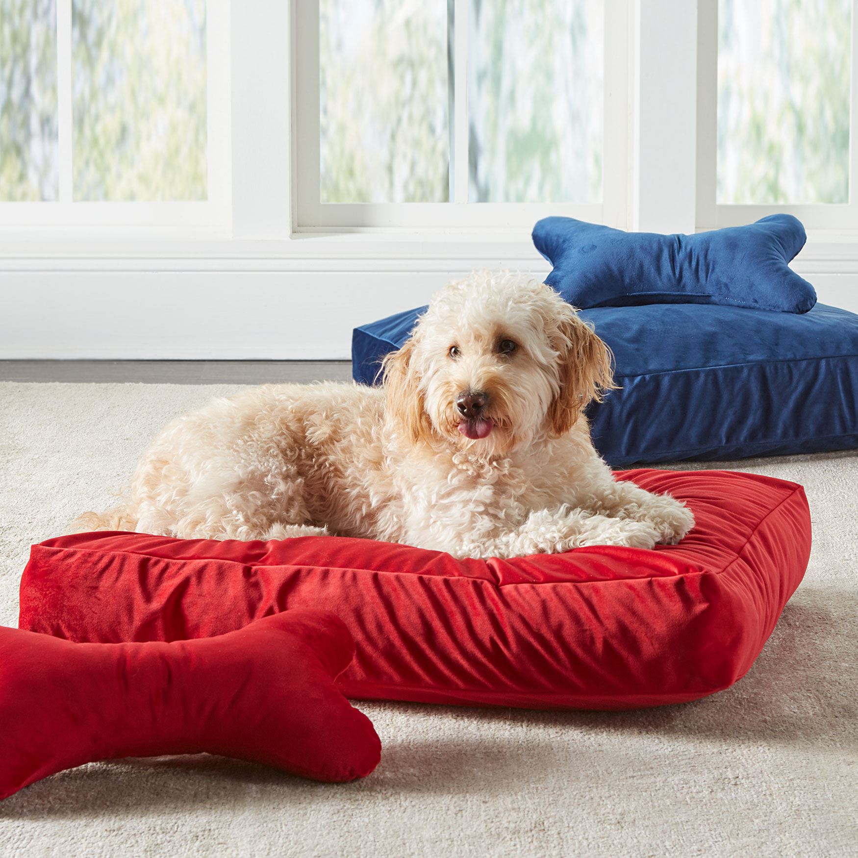 Velvet Pet Bed Cushion Insert and Cover Pet Supplies Brylane Home