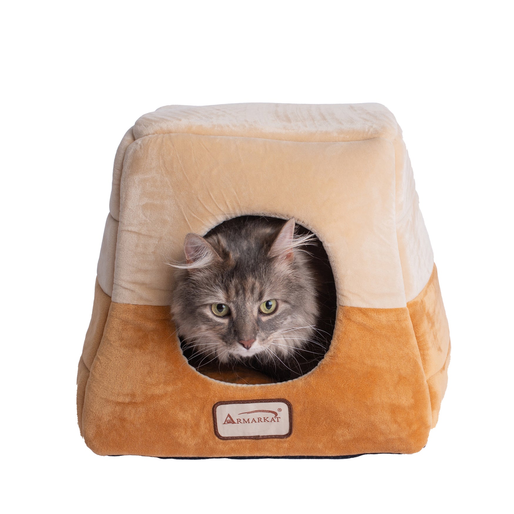 2 in 1 cat bed