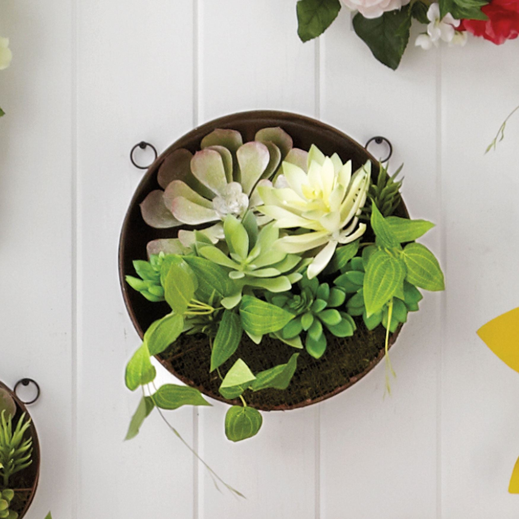 Large Succulent Wall Arrangement Décor Brylane Home
