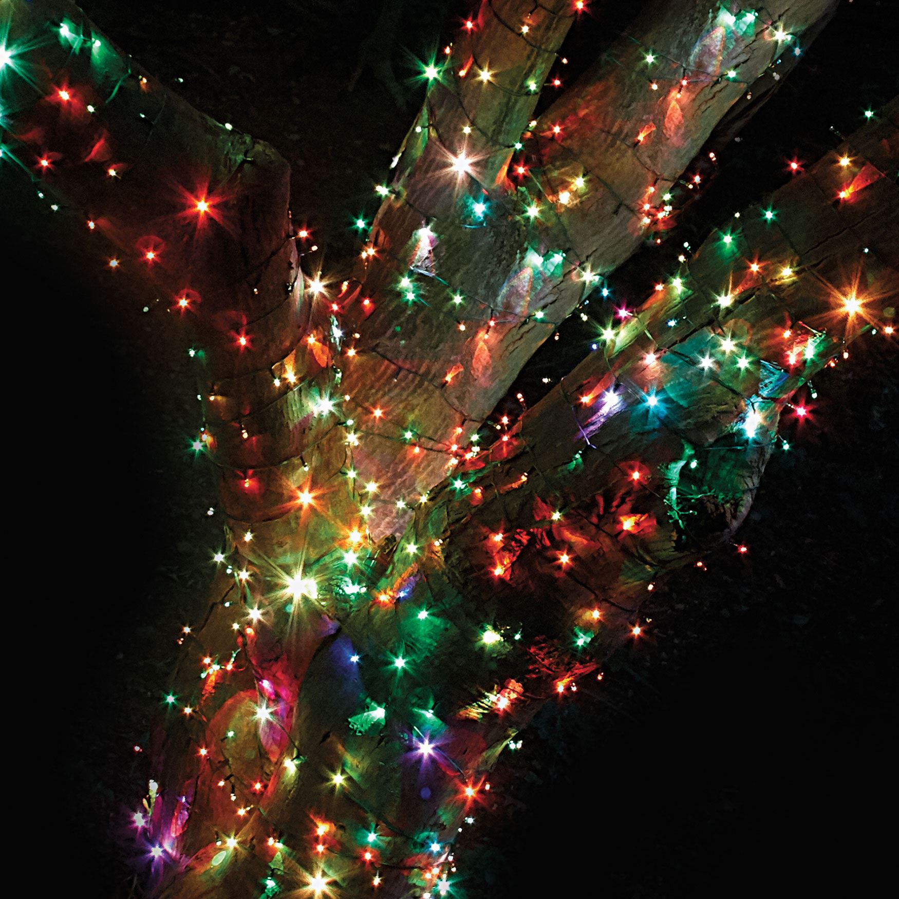 String Lights , 