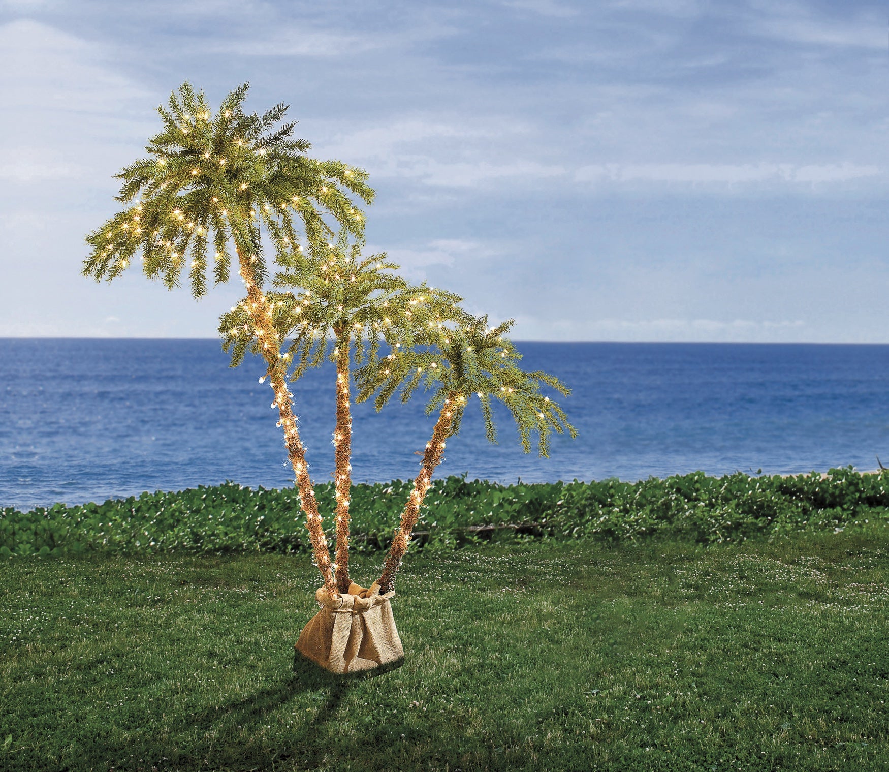 PreLit 3Branch Palm Tree Plus Size Garden & Planters Brylane Home