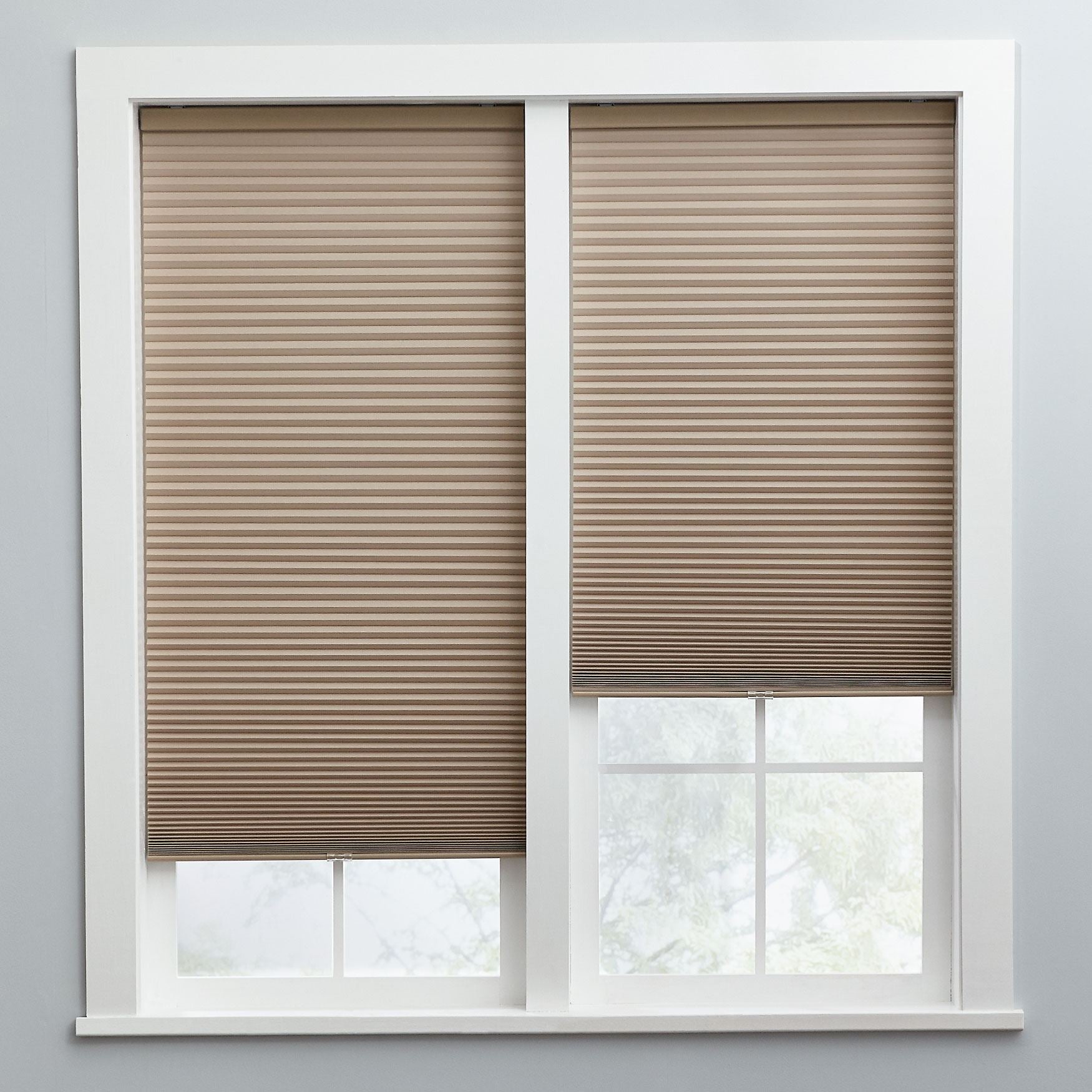 Carly Cordless Cellular Shade Window Brylane Home