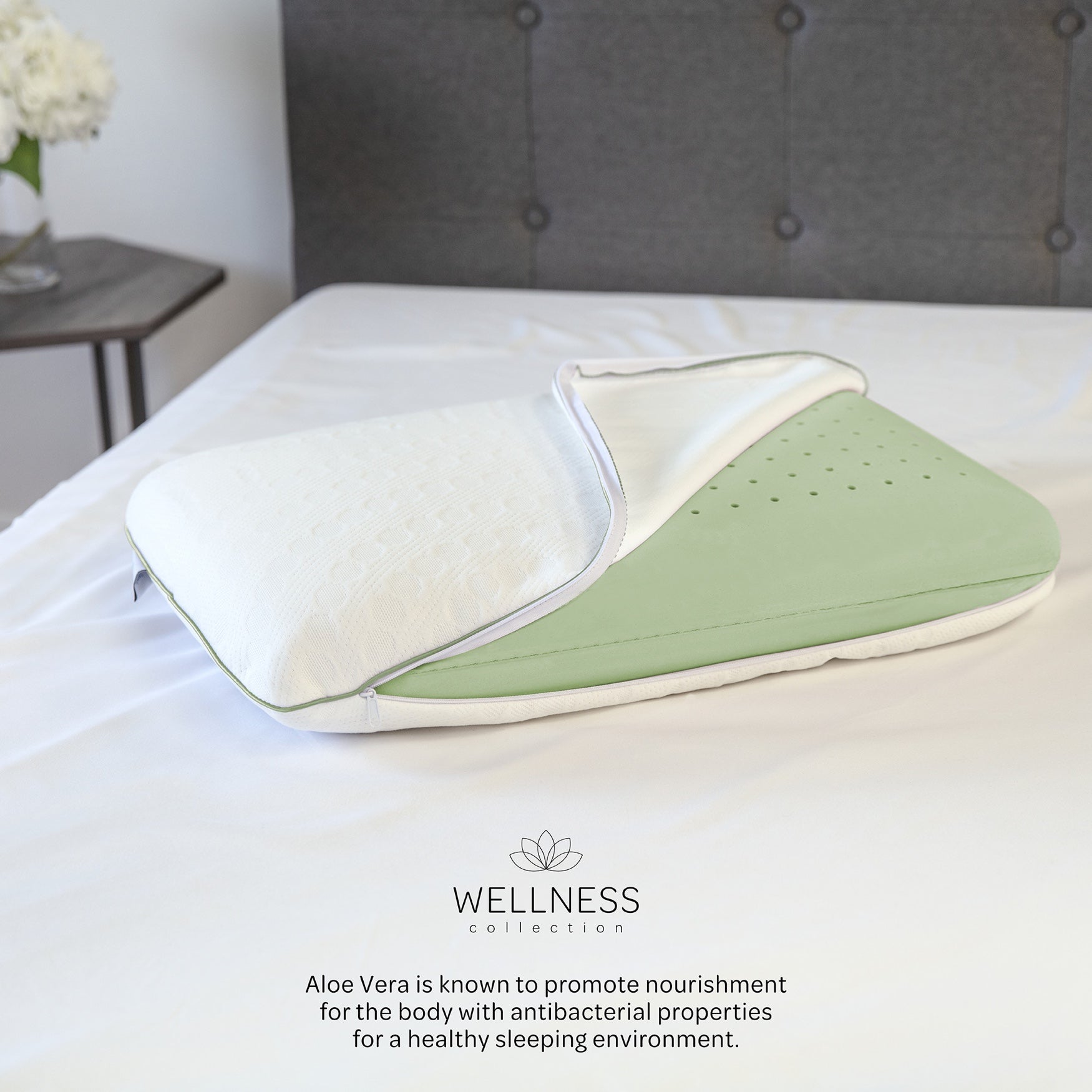 aloe vera pillow