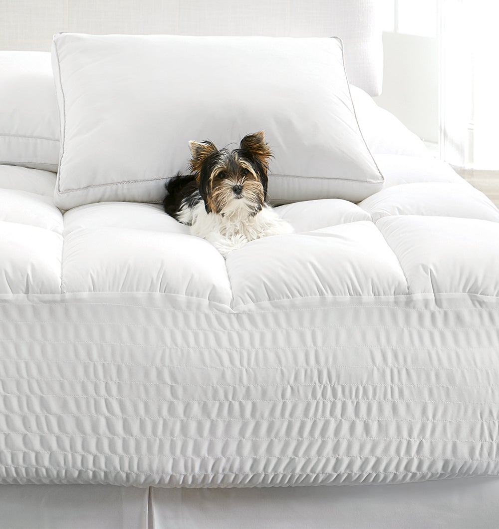 FREE SHIPPING WHEN YOU SHOP SELECT BEDDING ON $99+*