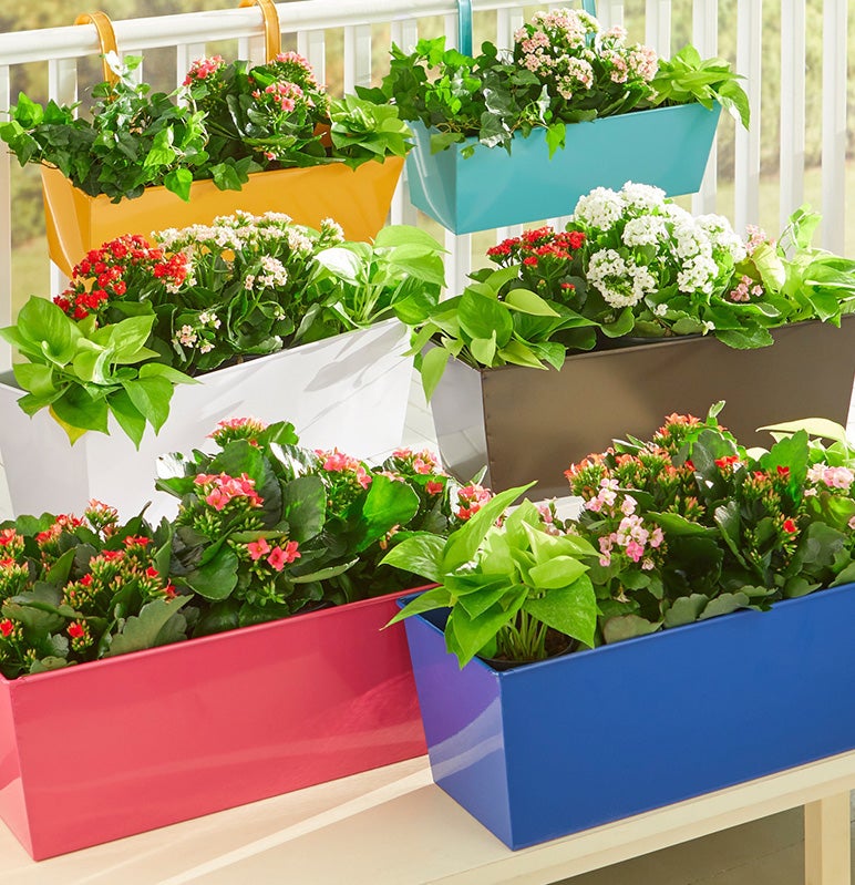 Outdoor Decor 75% Off 