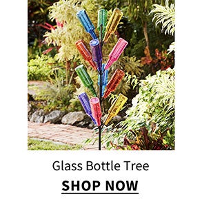 Click to shop Glass Bottle Tree