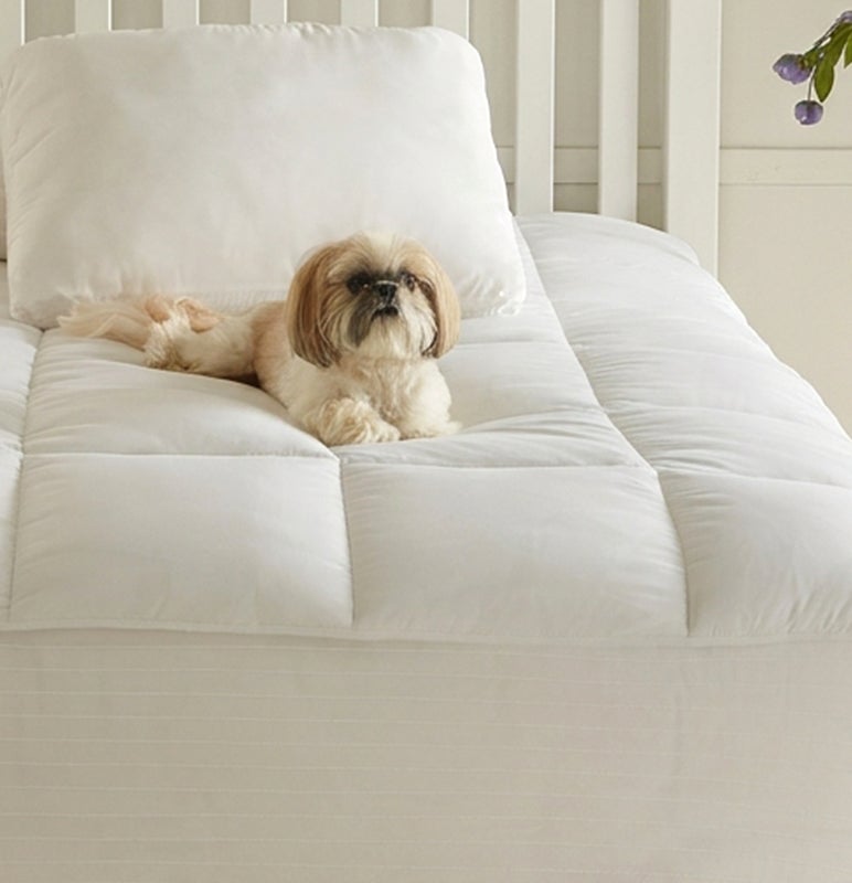 Bedding Ships Free on Orders of $99+