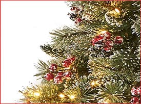 shop Gifts Under $50