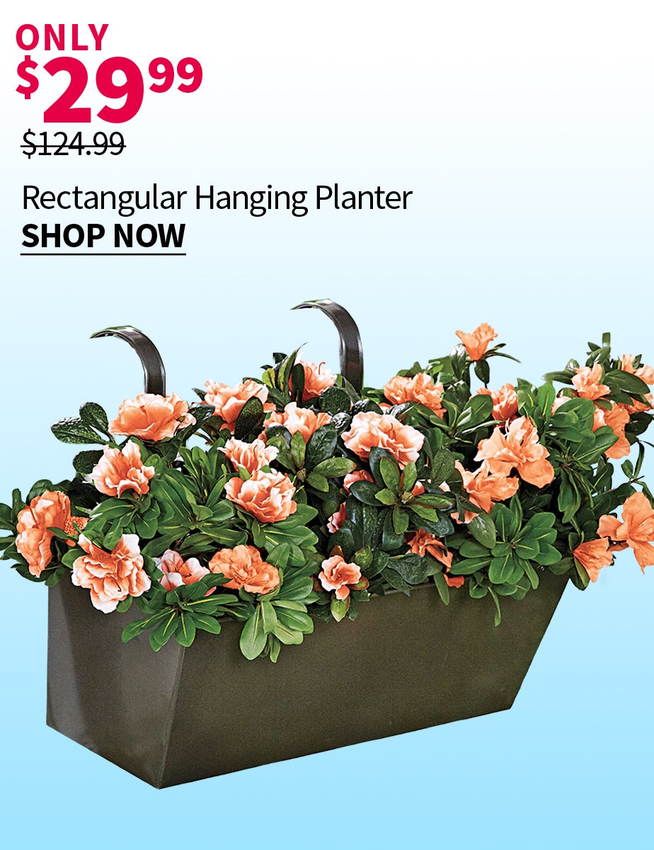 RECTANGULAR HANGING PLANTER