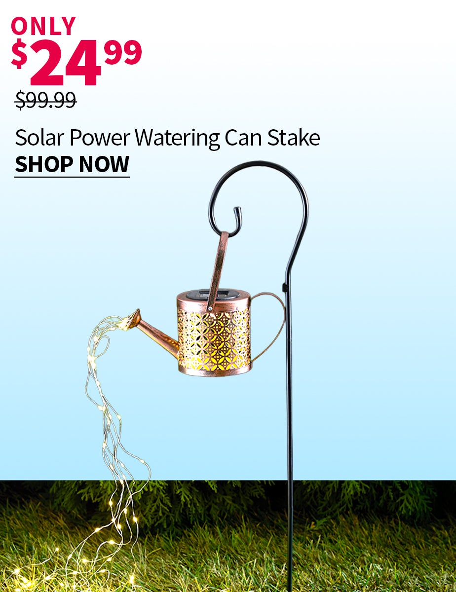 SOLAR POWER WATERING CAN STAKE