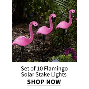 Click to shop Flamingo Slar Stale Lights