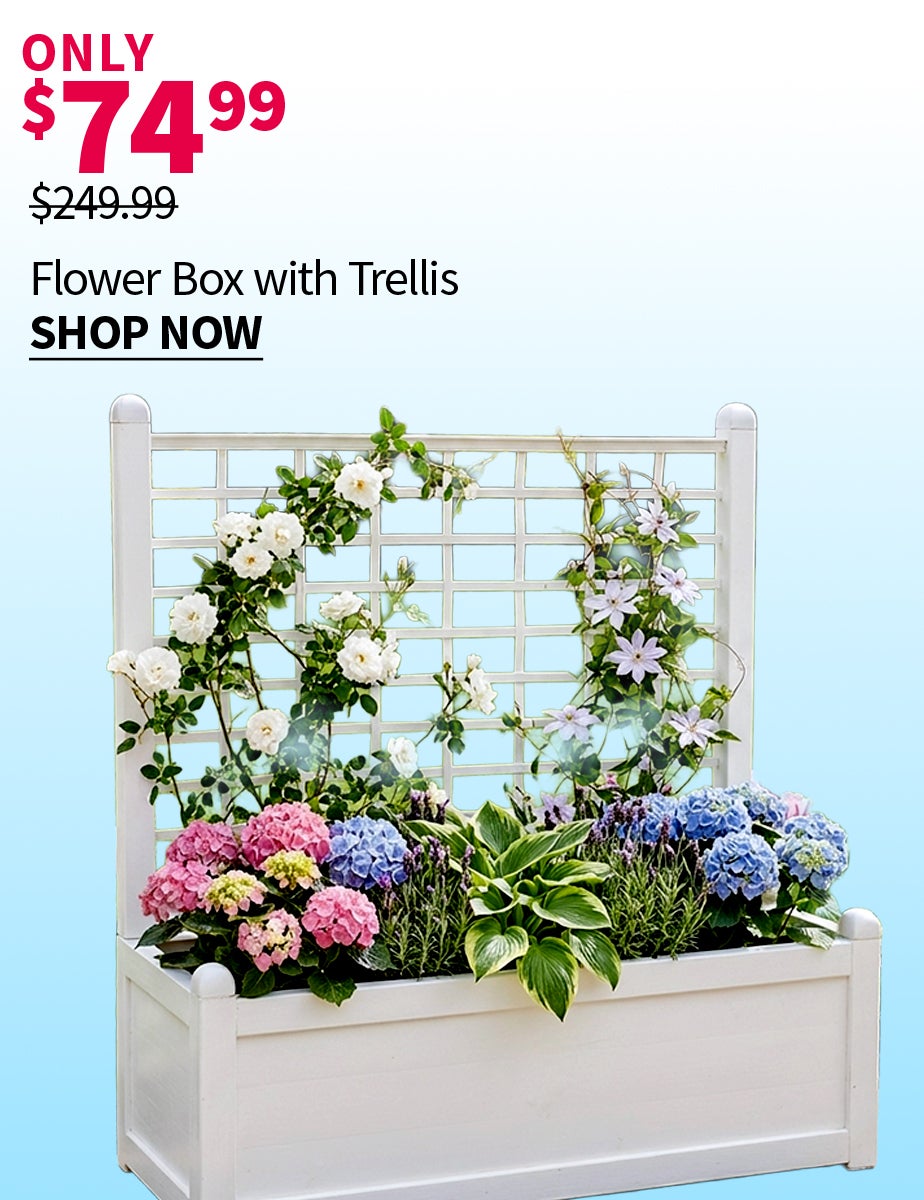 FLOWER BOX WITH TRELLIS