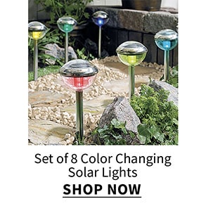 Click to shop Color Changing Solar Lights