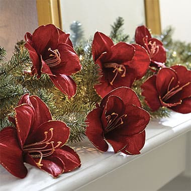 shop Gifts Under $50